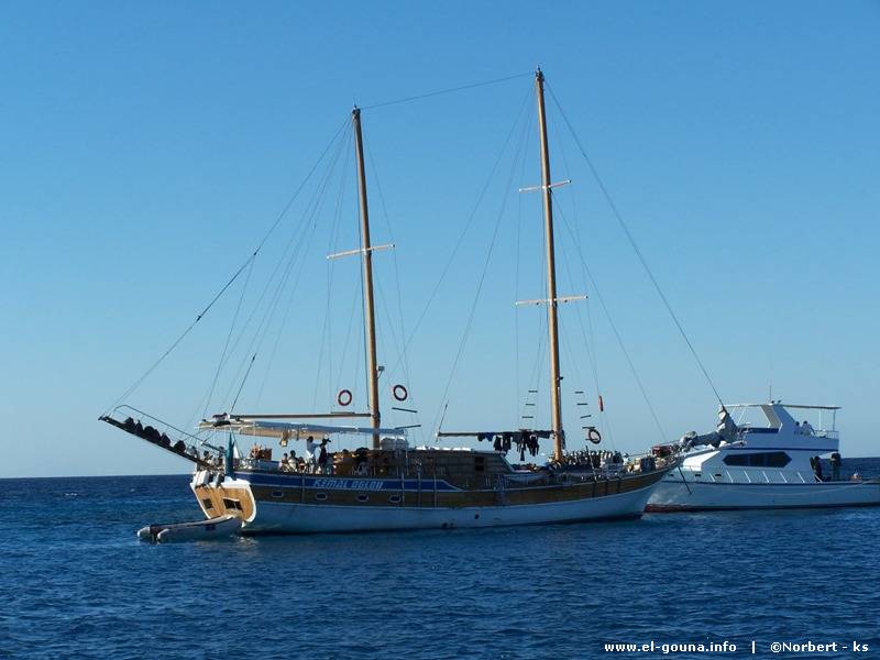 Delphin Tour 166